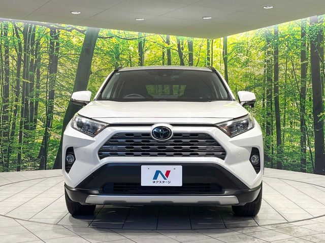 TOYOTA RAV4 4WD 2019 Image 31