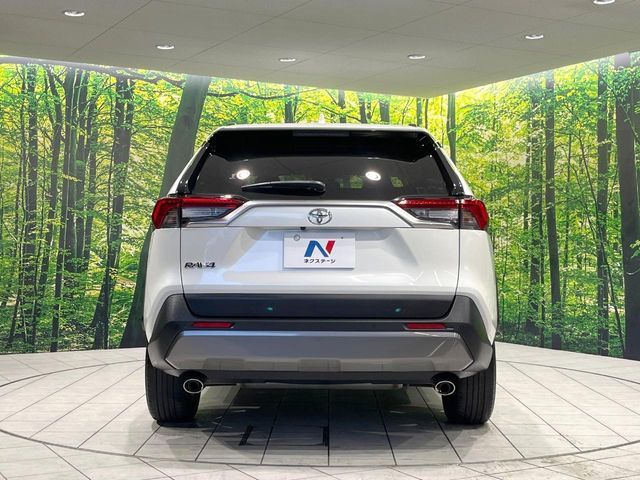 TOYOTA RAV4 4WD 2019 Image 31