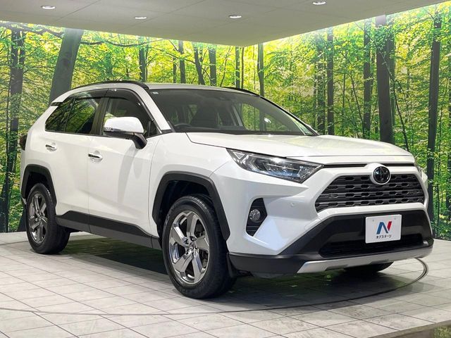 TOYOTA RAV4 4WD 2019 Image 31
