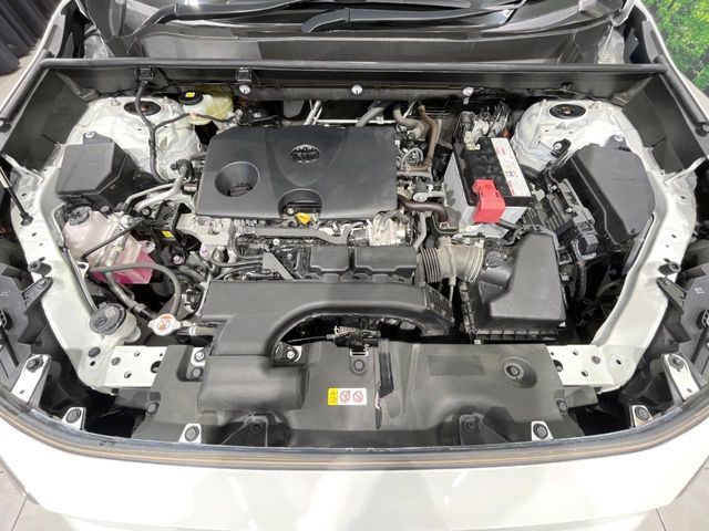 TOYOTA RAV4 4WD 2019 Image 31