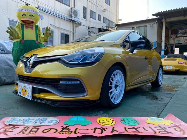 RENAULT LUTECIA 2016 Image 31