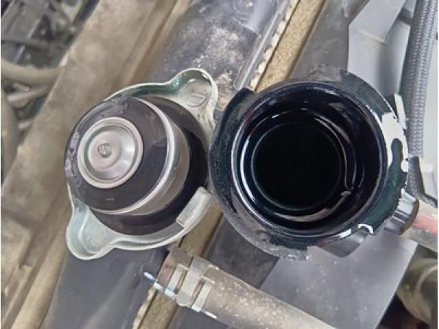 HINO RANGER 2019 Image 31