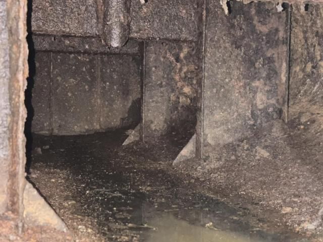 ISUZU ELF 2015 Image 31