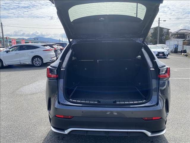 TOYOTA LEXUS NX450H+ AWD 2022 Image 31