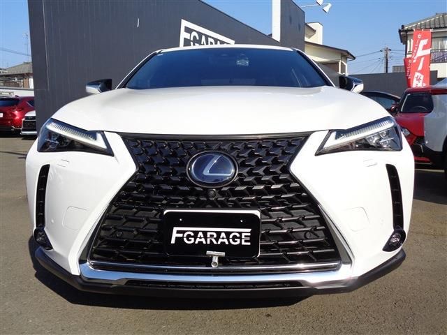TOYOTA LEXUS UX250H 2019 Image 31