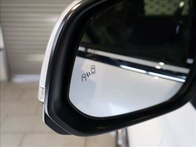 TOYOTA ALPHARD HYBRID 2024 Image 31