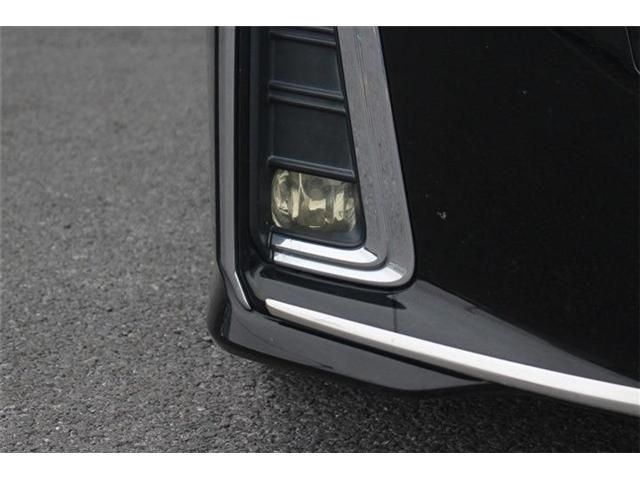 TOYOTA ALPHARD 2018 Image 31