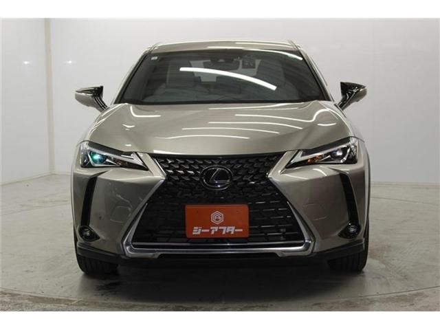 TOYOTA LEXUS UX200 2019 Image 31