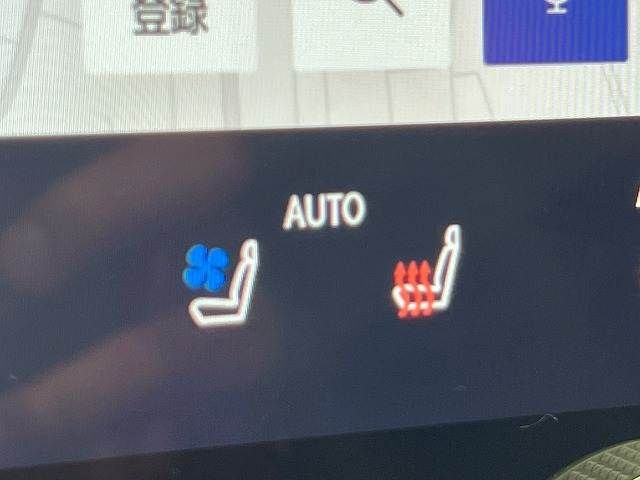 TOYOTA LEXUS NX250 2023 Image 31