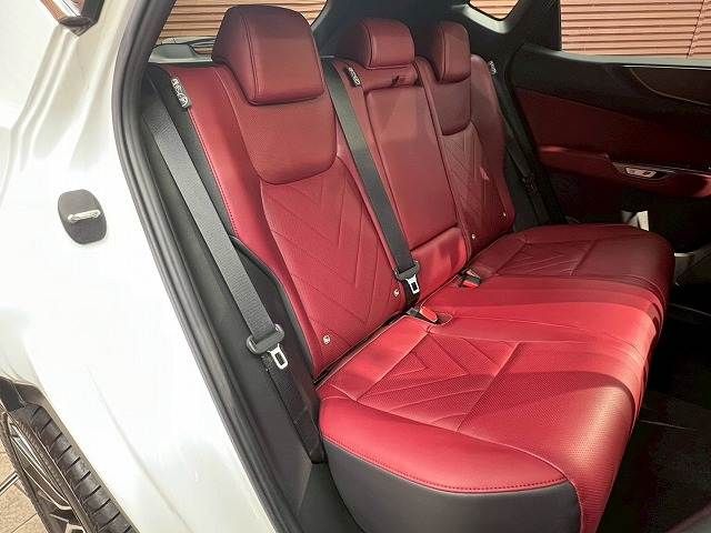 TOYOTA LEXUS NX250 2023 Image 31