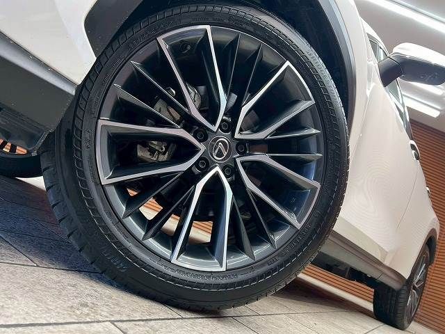 TOYOTA LEXUS NX250 2023 Image 31