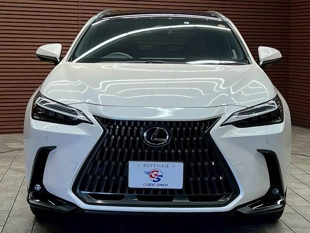 TOYOTA LEXUS NX250 2023 Image 31