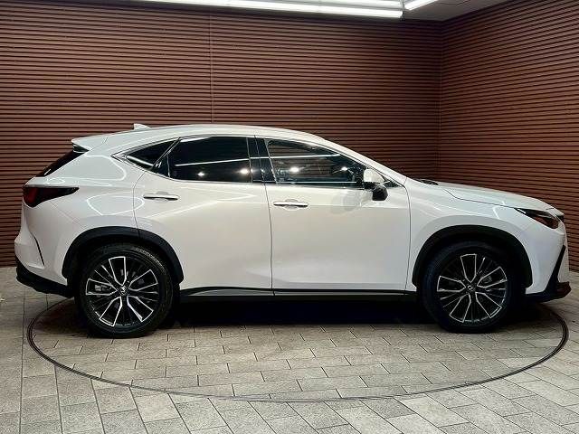 TOYOTA LEXUS NX250 2023 Image 31