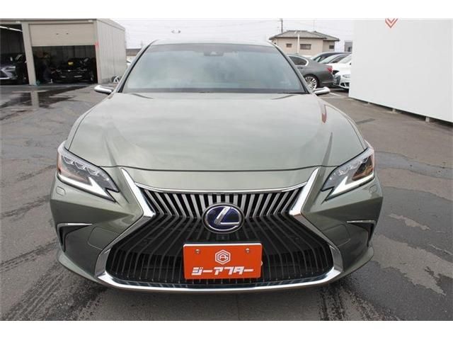 TOYOTA LEXUS ES300H 2019 Image 31