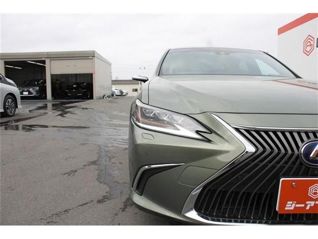 TOYOTA LEXUS ES300H 2019 Image 31
