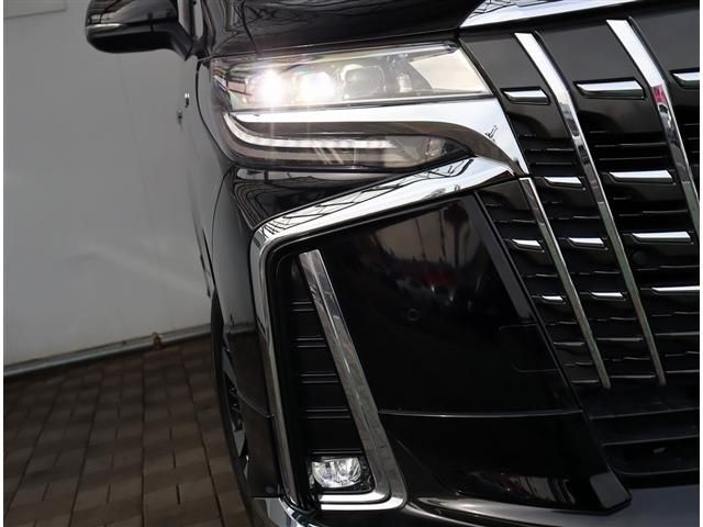 TOYOTA ALPHARD 4WD 2020 Image 31