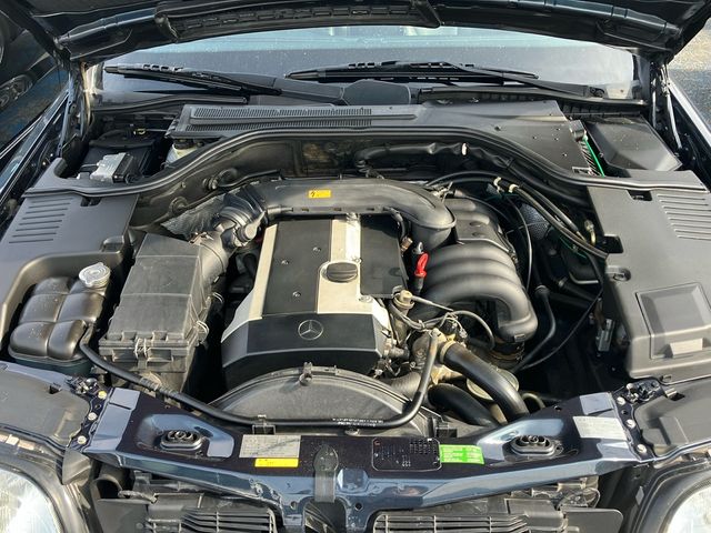MERCEDES BENZ S CLAS 1996 Image 31