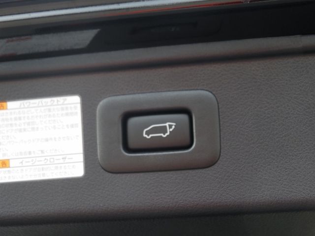 TOYOTA ALPHARD HYBRID 4WD 2023 Image 31