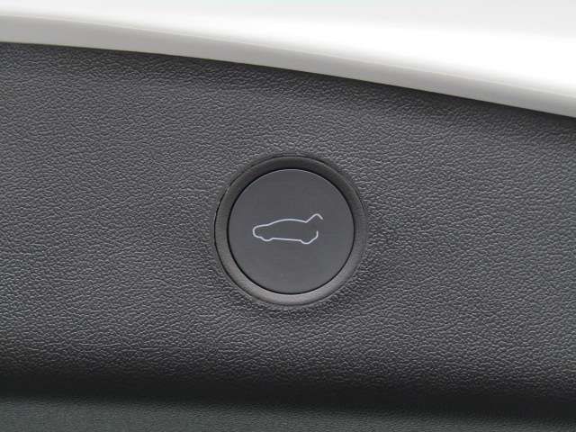 TESLA MODEL 3 2021 Image 31