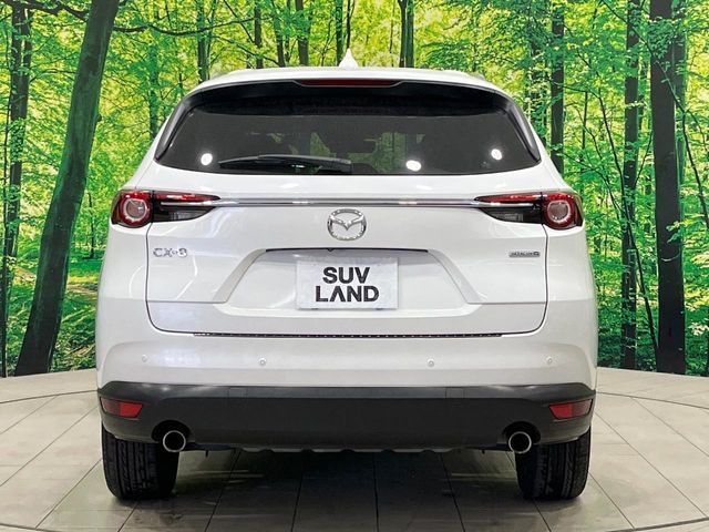 MAZDA CX-8 2019 Image 31