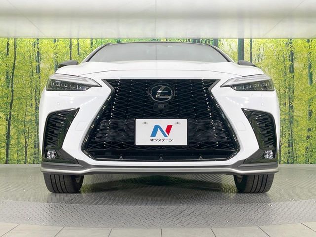 TOYOTA LEXUS NX350H 2022 Image 31