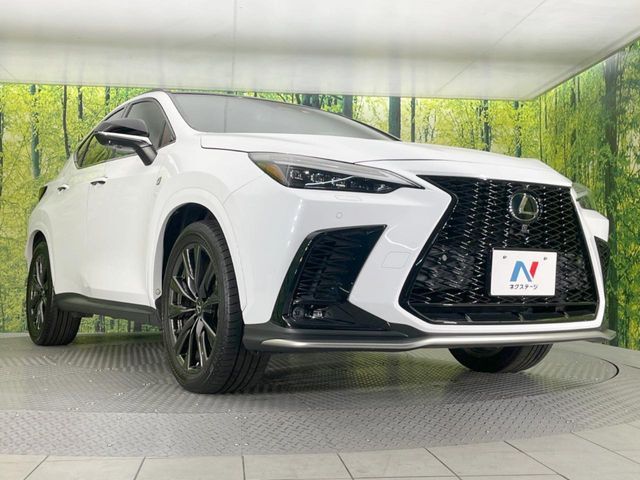 TOYOTA LEXUS NX350H 2022 Image 31