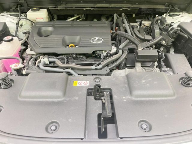 TOYOTA LEXUS NX350H 2022 Image 31