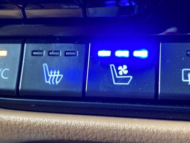 MAZDA CX-60 2023 Image 31