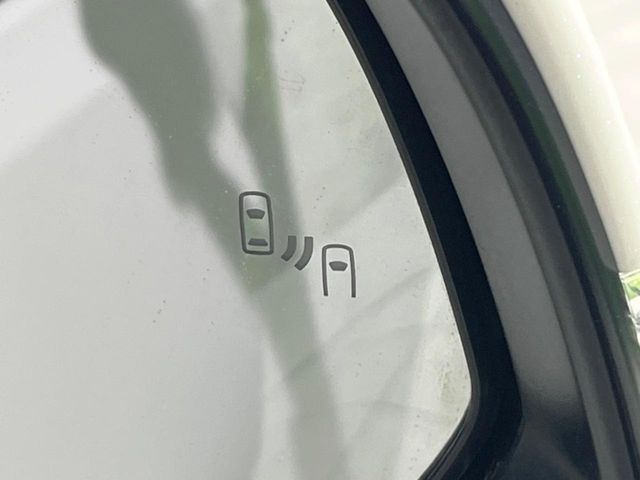 TOYOTA ALPHARD 4WD 2021 Image 31