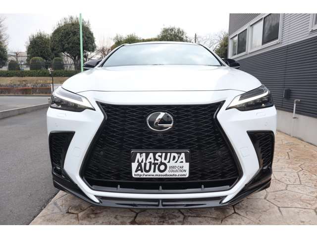 TOYOTA LEXUS NX350H AWD 2024 Image 31