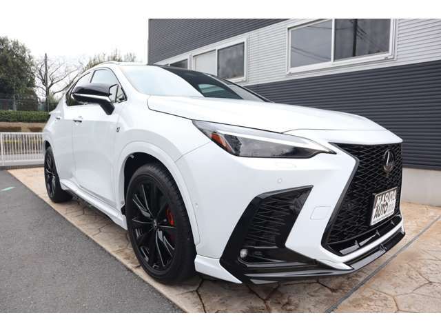 TOYOTA LEXUS NX350H AWD 2024 Image 31