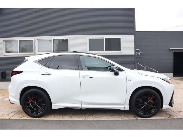 TOYOTA LEXUS NX350H AWD 2024 Image 31