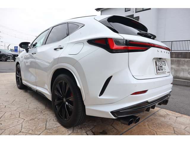 TOYOTA LEXUS NX350H AWD 2024 Image 31