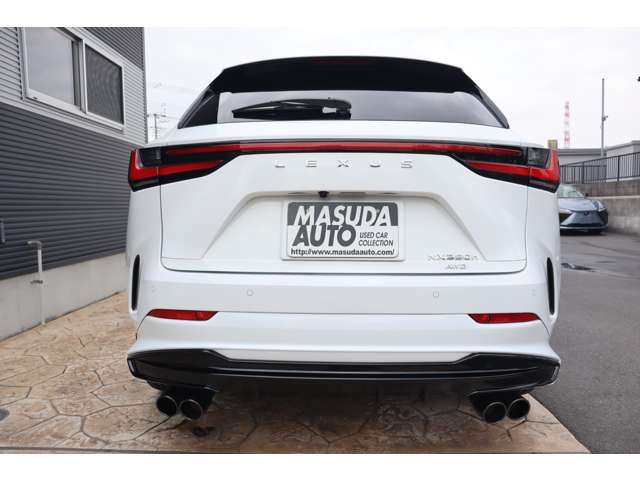 TOYOTA LEXUS NX350H AWD 2024 Image 31