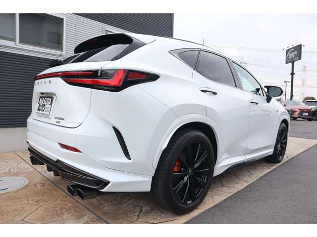 TOYOTA LEXUS NX350H AWD 2024 Image 31