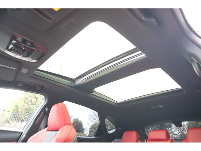 TOYOTA LEXUS NX350H AWD 2024 Image 31