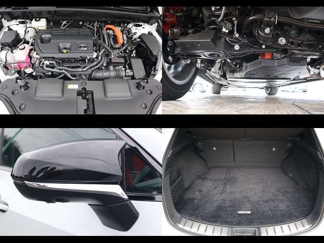 TOYOTA LEXUS NX350H AWD 2024 Image 31