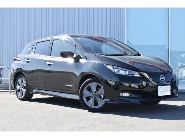 NISSAN LEAF 2021 Image 31