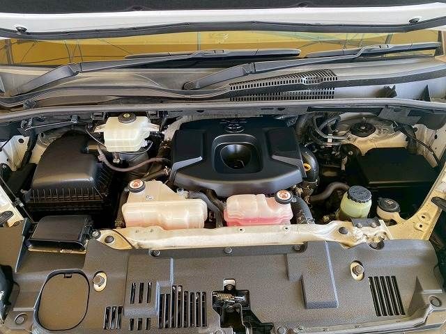 TOYOTA GRANACE 2020 Image 31