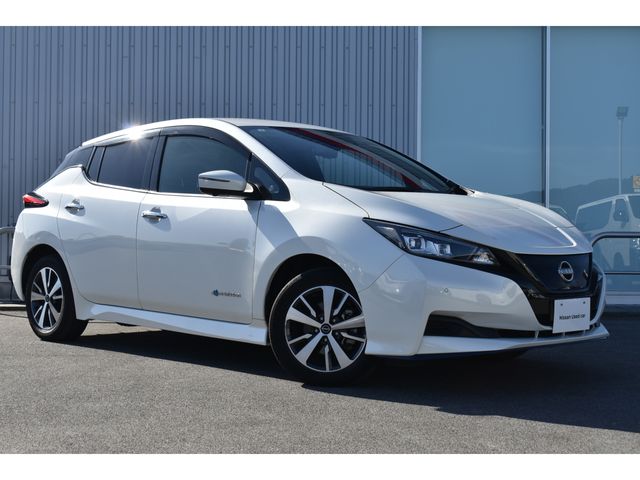 NISSAN LEAF 2021 Image 31