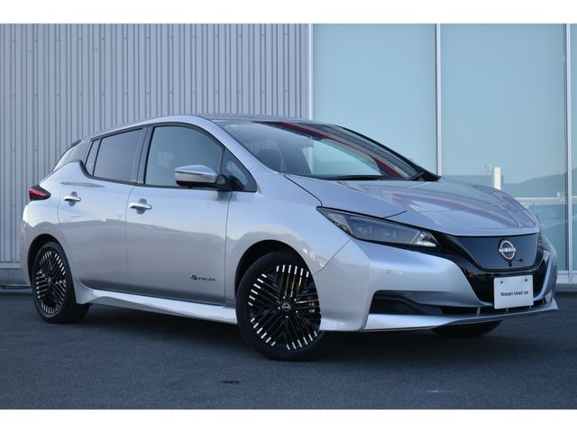 NISSAN LEAF 2024 Image 31