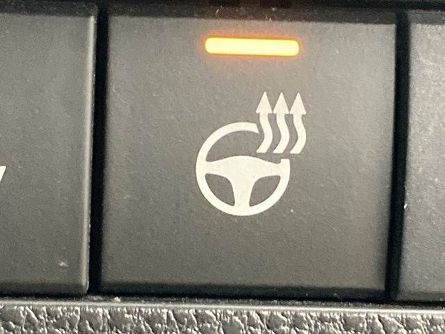 TOYOTA RAV4 HYBRID 4WD 2020 Image 31