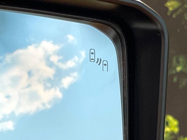 TOYOTA LANDCRUISER 250 2024 Image 31