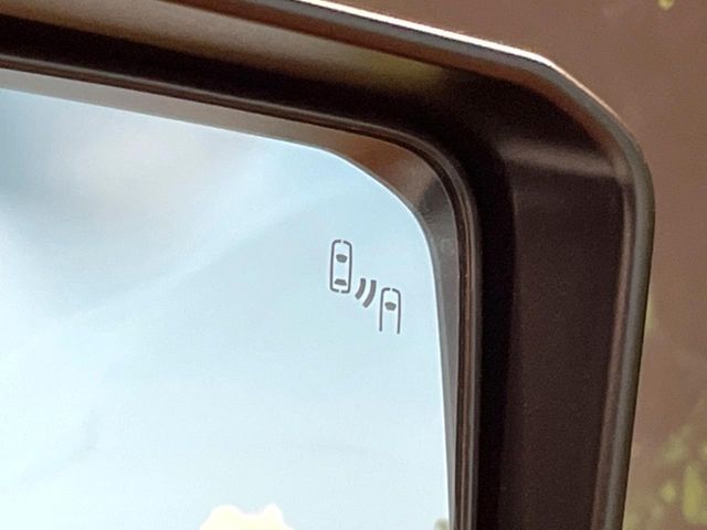 TOYOTA LANDCRUISER 250 2024 Image 31