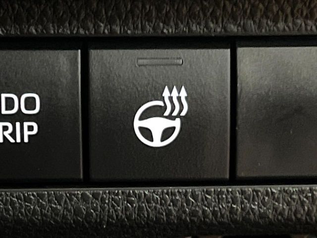 TOYOTA RAV4 HYBRID 4WD 2023 Image 31