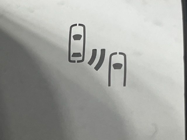 TOYOTA LANDCRUISER 250 2024 Image 31