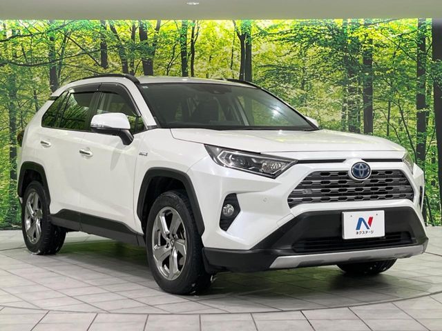 TOYOTA RAV4 HYBRID 4WD 2019 Image 31