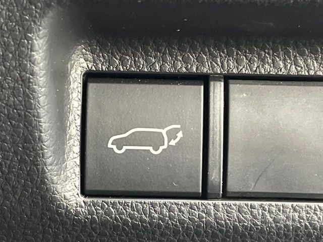 TOYOTA RAV4 4WD 2021 Image 31