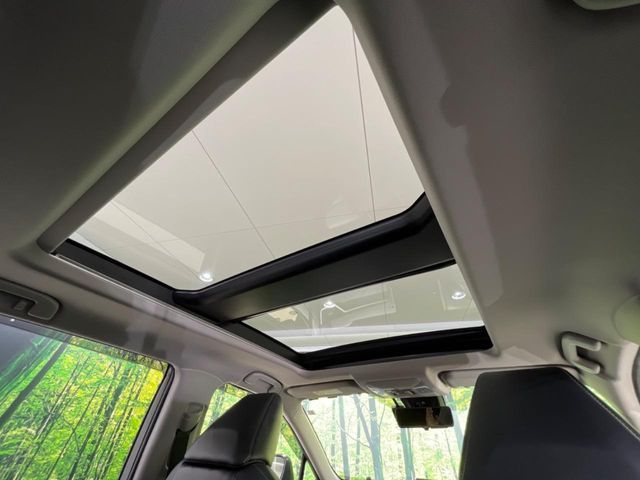 TOYOTA RAV4 4WD 2019 Image 31