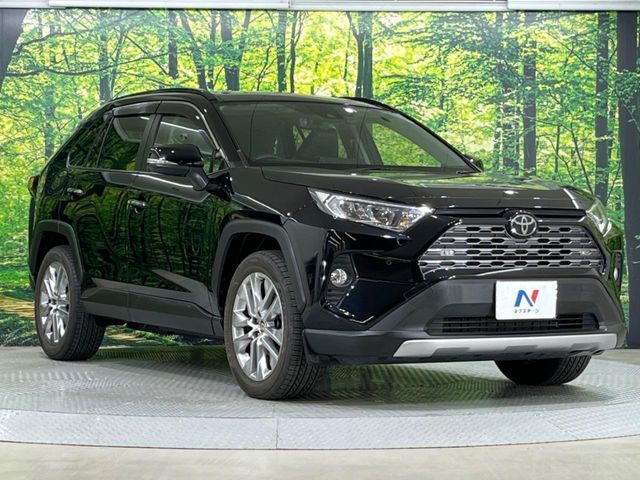 TOYOTA RAV4 4WD 2019 Image 31